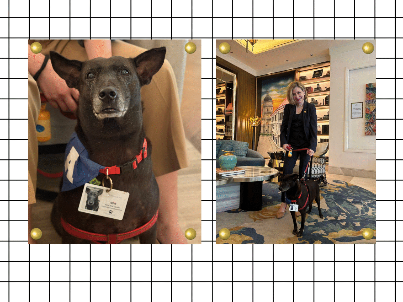 Adie Riddell Meet Adie, A Dog Hotelier in Manila